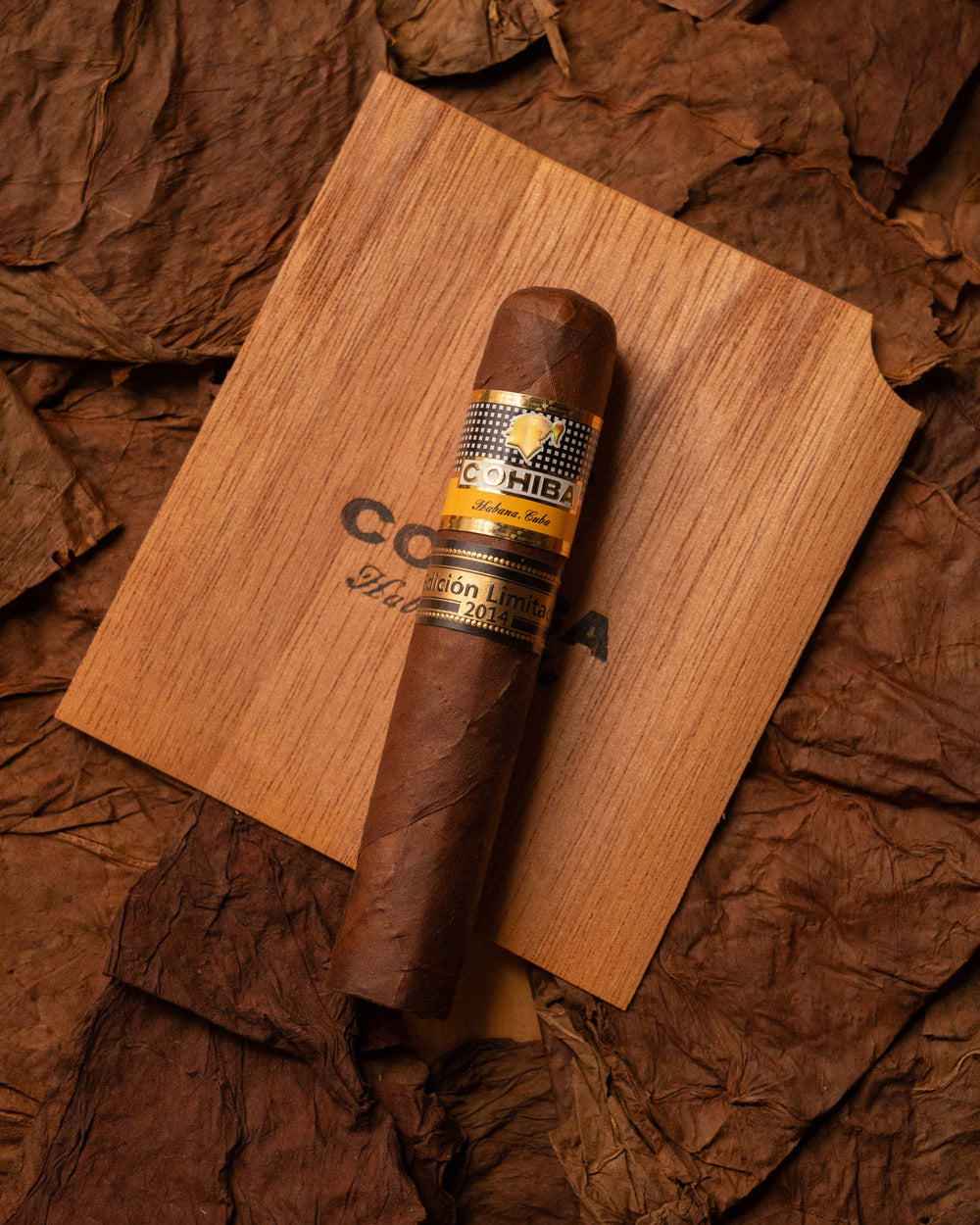 COHIBA 羅布圖 Robusto