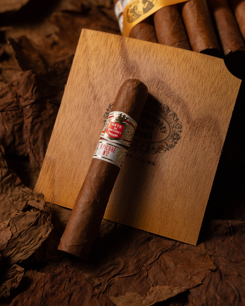 HOYO de MONTERREY 好友 Epi 2