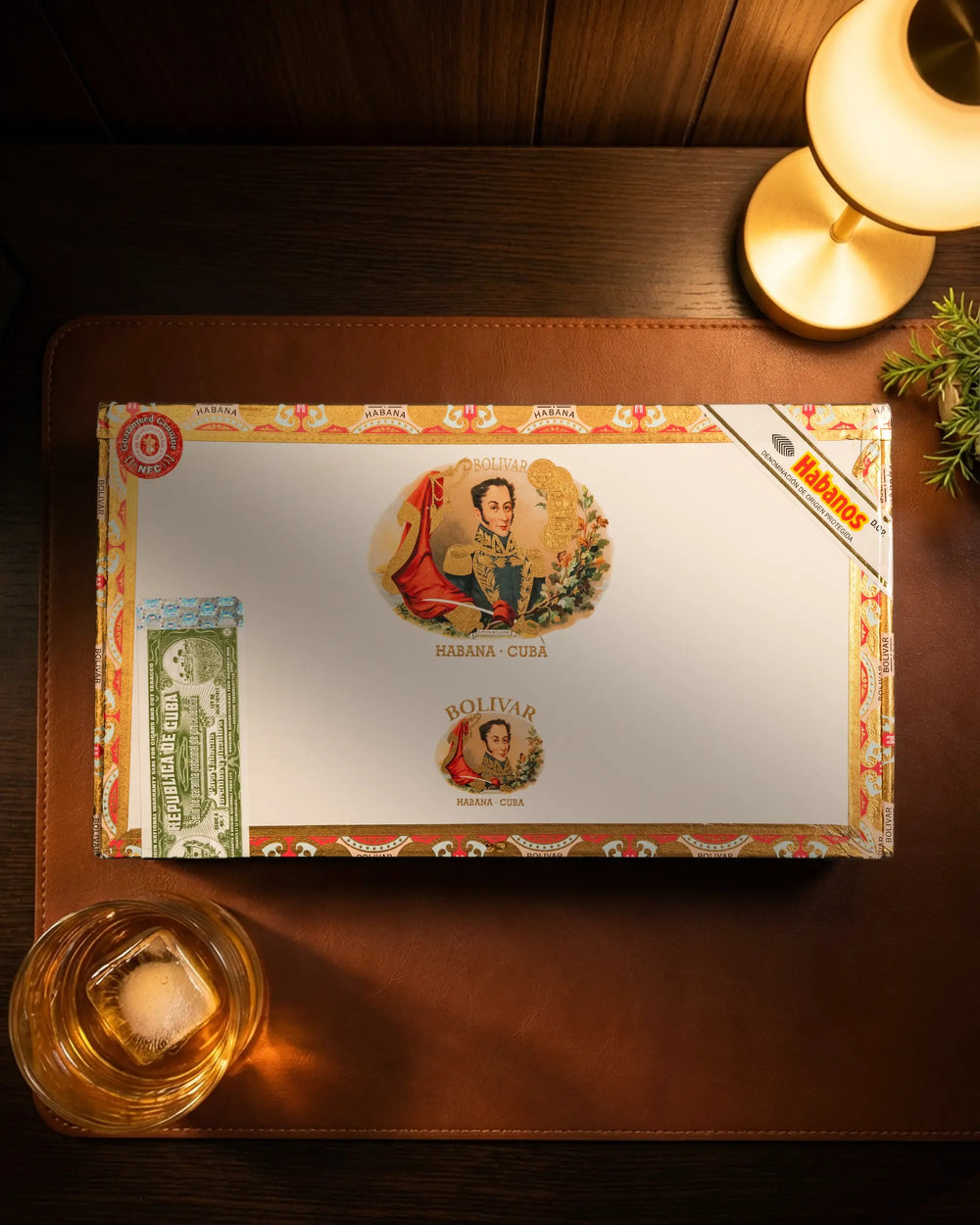 BOLIVAR 玻利瓦爾 彪南