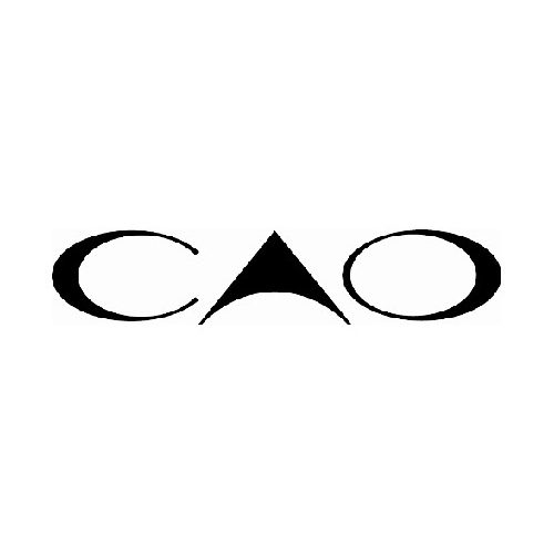 CAO 潮牌